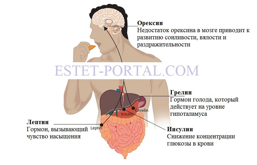 Гормоны Щитовидной Железы И Лишний Вес