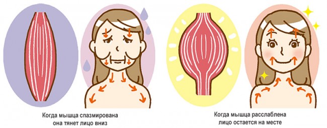 Обвисшие щеки: кулак и 10 минут чтобы вернуть лицо на место
