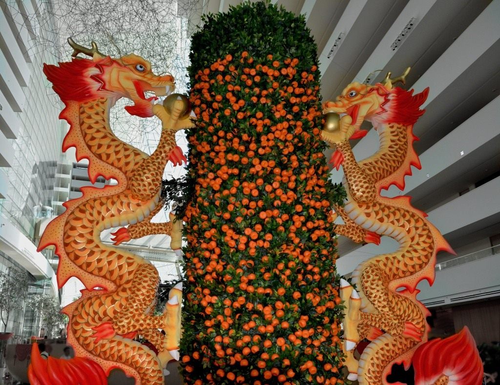 Мандариновое дерево — символ китайского нового года