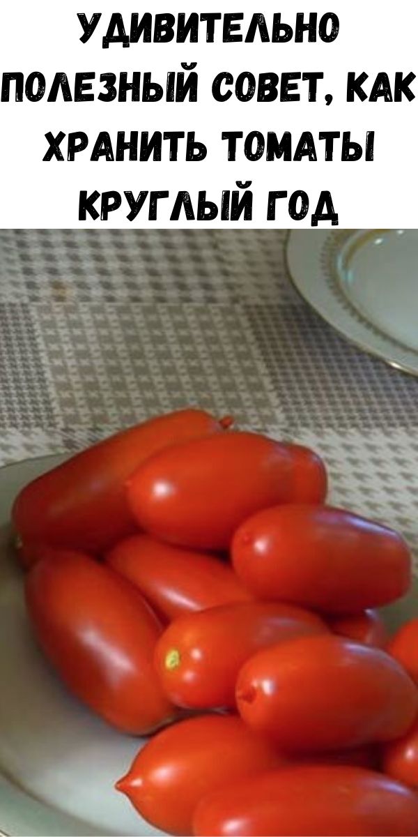 Удивительно полезный совет, как хранить томаты круглый год