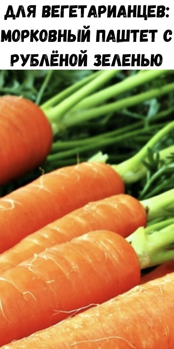 Для вегетарианцев: морковный паштет с рублёной зеленью