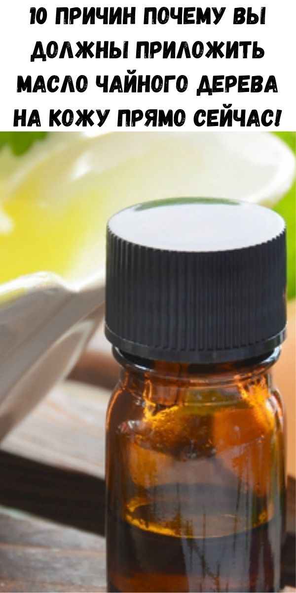 10 причин почему вы должны приложить масло чайного дерева на кожу прямо сейчас!