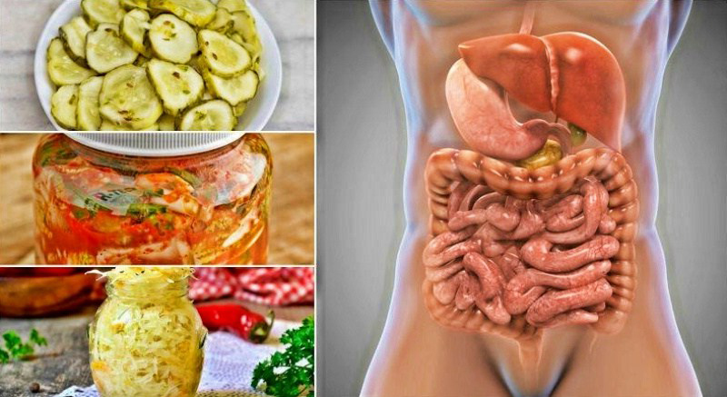 10 продуктов-натуральных пробиотиков от проблем с пищеварением