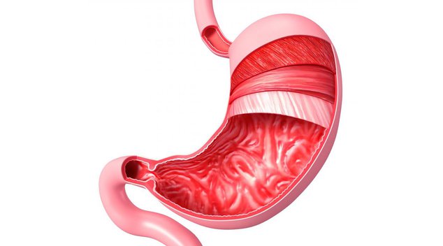 Прополис исцелит желудок и кишечник: простое и результативное лечение