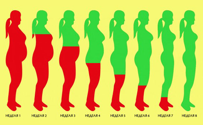 Как растопить лишний жир за 8 недель: стабильный результат без возврата веса