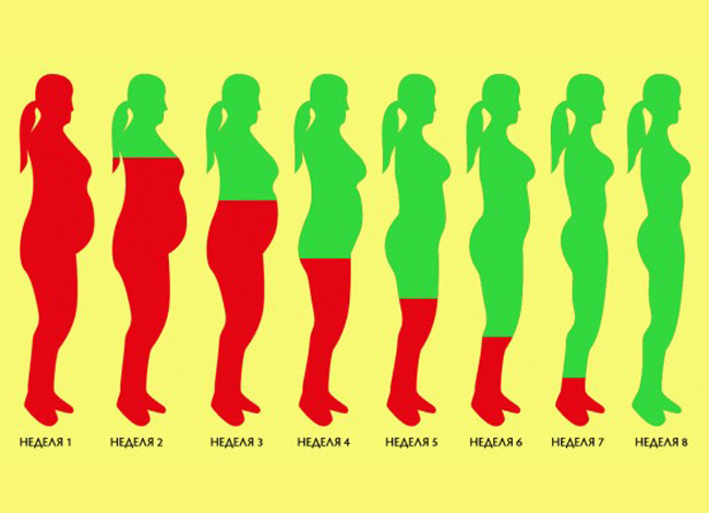 Как растопить лишний жир за 8 недель: стабильный результат без возврата веса